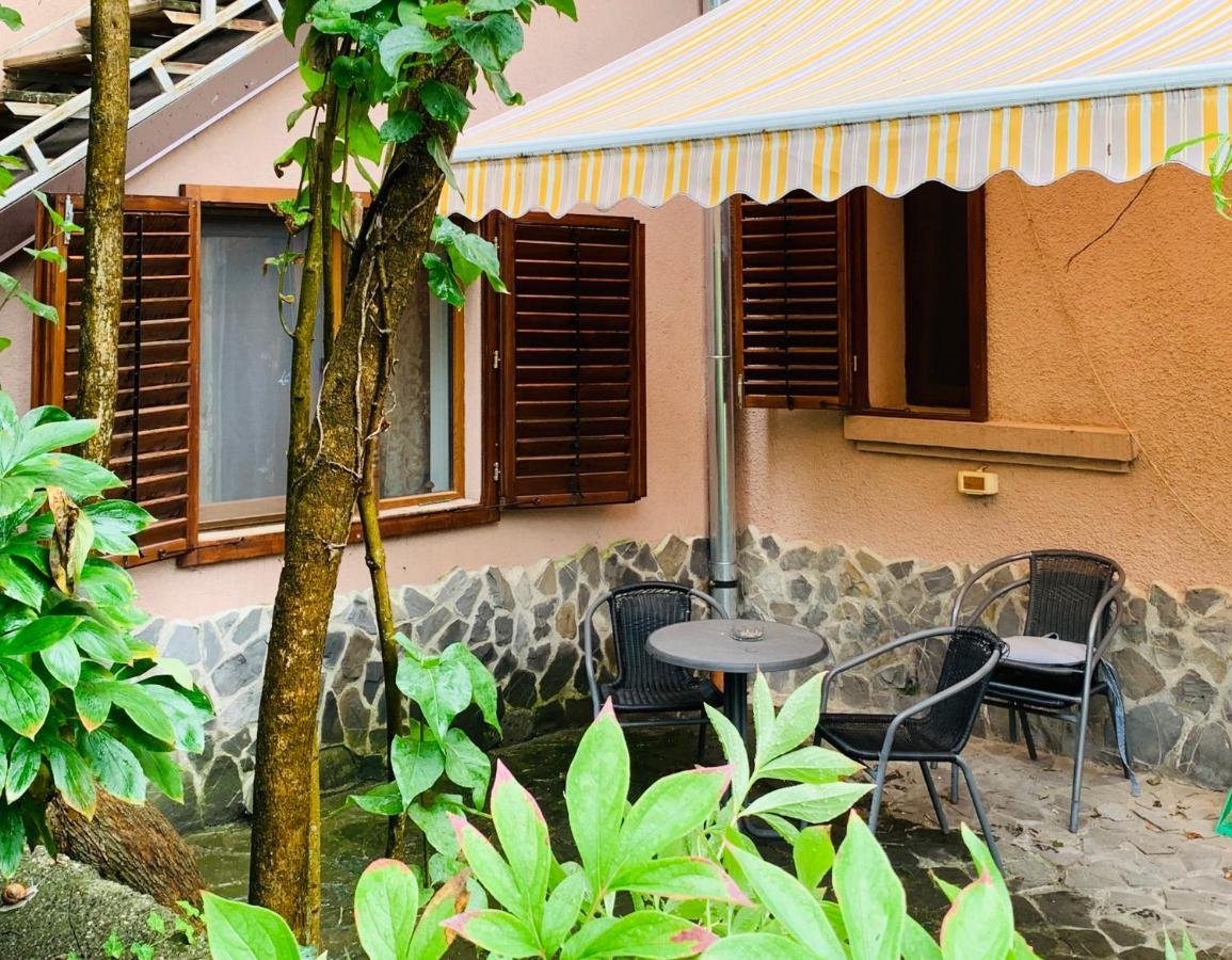 Maan Central Apartment Pet Friendly Location 布拉索夫 外观 照片