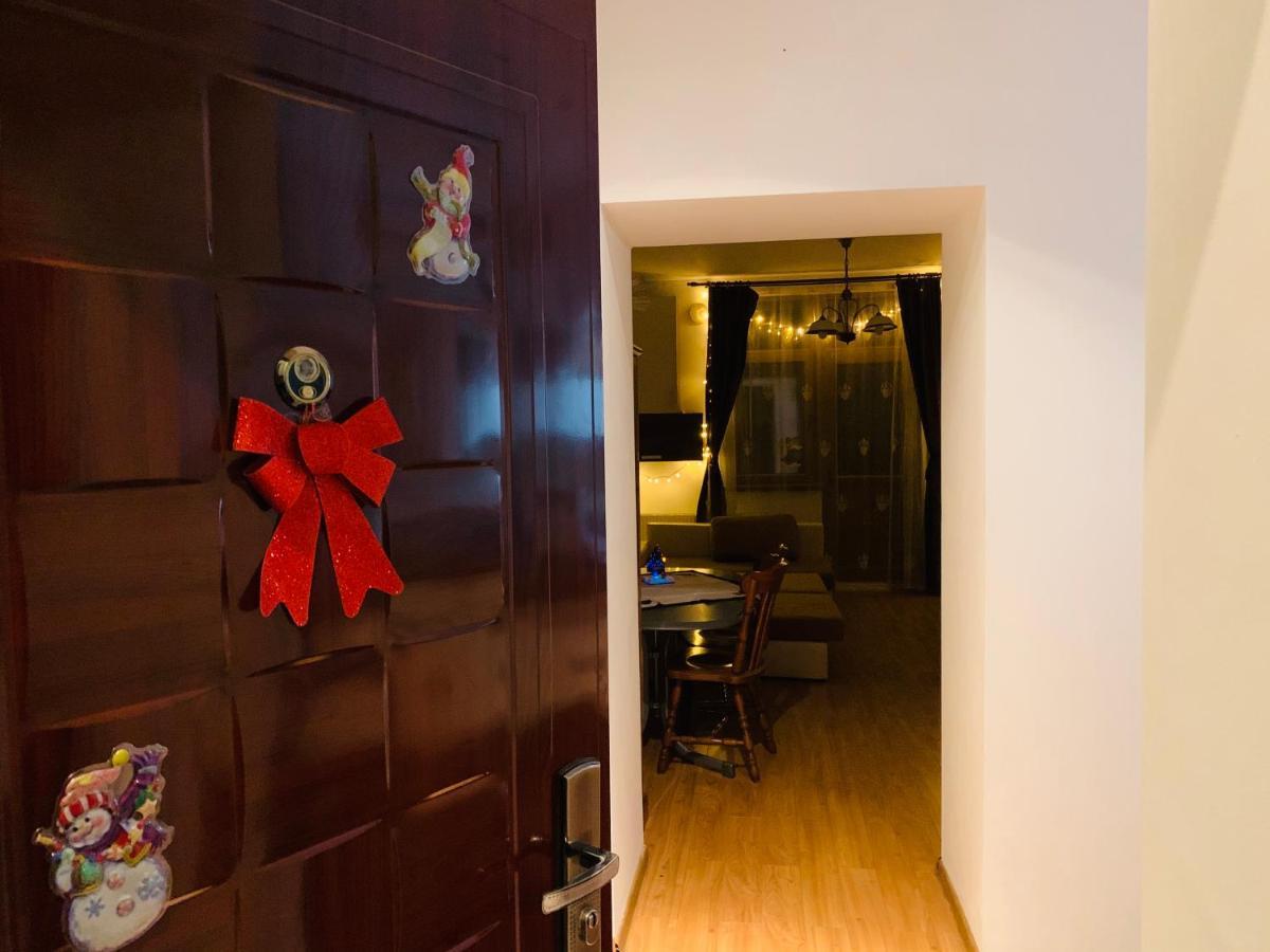 Maan Central Apartment Pet Friendly Location 布拉索夫 外观 照片