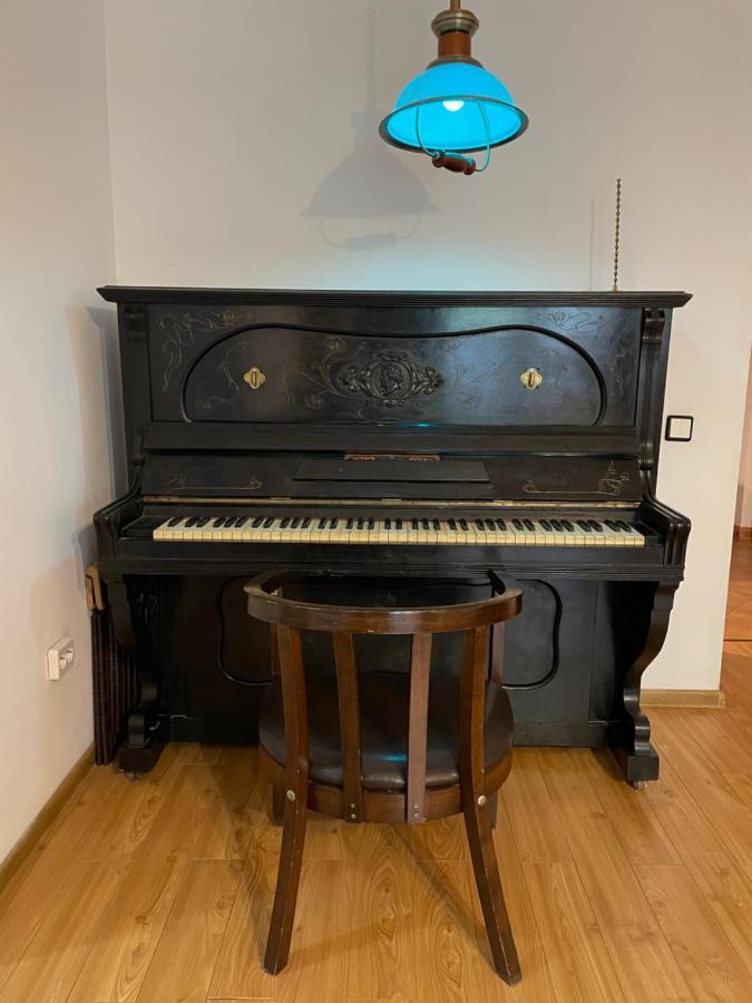 Maan Central Apartment Pet Friendly Location 布拉索夫 外观 照片