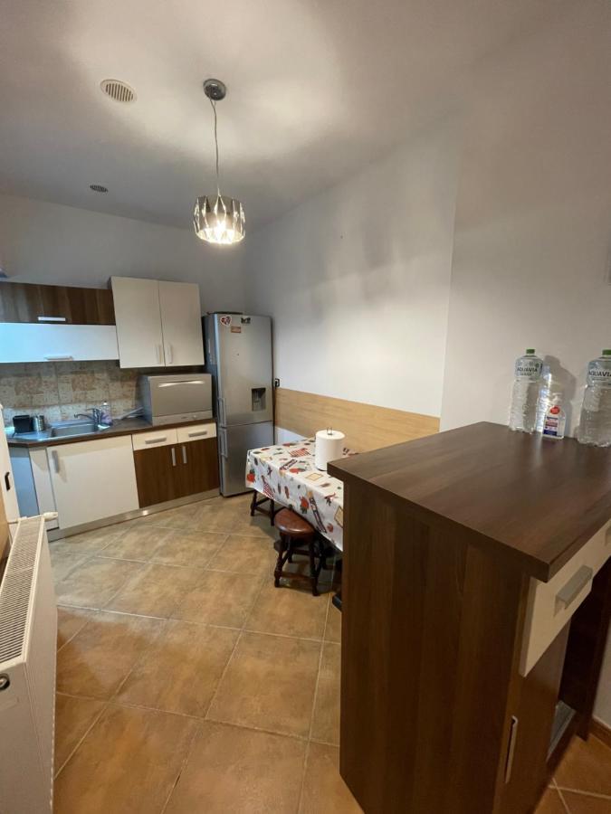 Maan Central Apartment Pet Friendly Location 布拉索夫 外观 照片