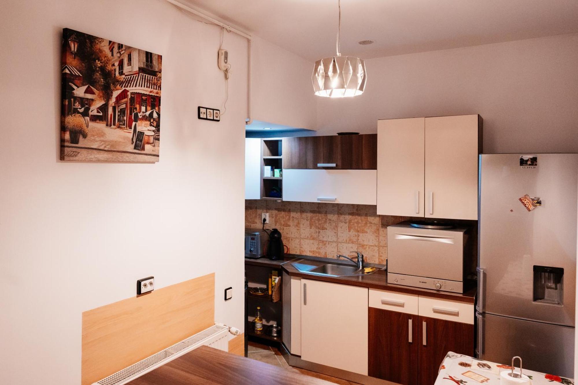 Maan Central Apartment Pet Friendly Location 布拉索夫 外观 照片