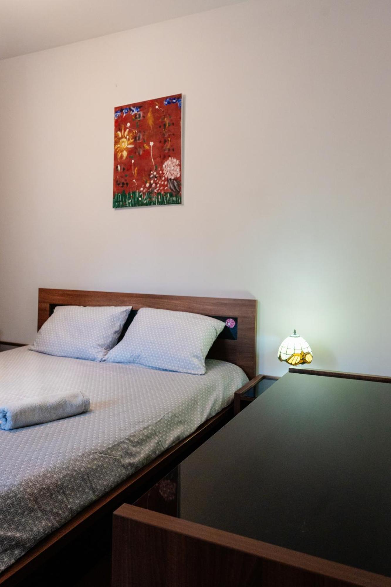 Maan Central Apartment Pet Friendly Location 布拉索夫 外观 照片